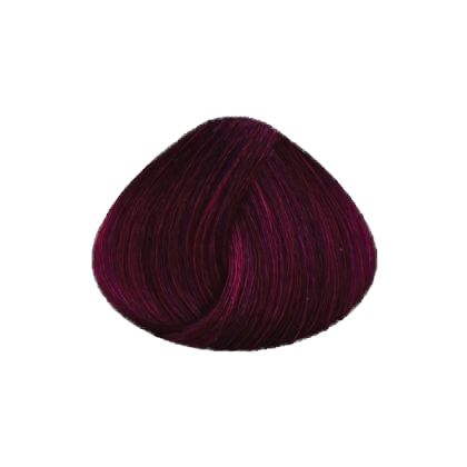 COLOR ART DESIREE FUCHSIA - МИКСТОН ФУКЦИЯ (ЦИКЛАМЕН)