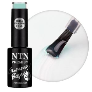 NTN PREMIUM GUMMY BASE 2in1 - КАУЧУКОВА БАЗА ЗА ГЕЛ ЛАК №5 5гр