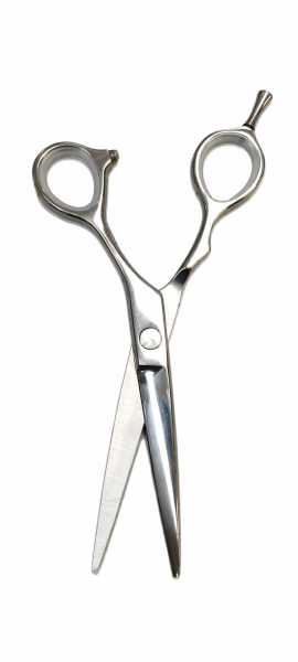 НОЖИЦА ЗА ПОДСТРИГВАНЕ BASIC - SILVER  - 5.5“