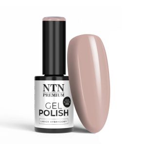 ГЕЛ ЛАК NTN PREMIUM LED LIMITED EDITION -  №522 5гр